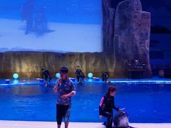 -华夏文旅海洋公园