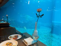 -海棠湾洲际-涛·海底餐厅·美人鱼·自助餐·海底隧道