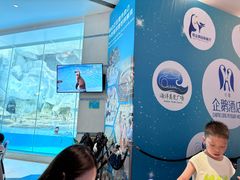 -帝企鹅自助餐厅•儿童岛•真企鹅(长隆企鹅酒店)