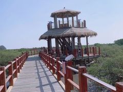 -北海金海湾红树林生态旅游区
