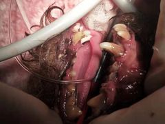 -萌兽医馆·宠物医院·猫骨科(创景店)