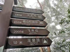 -洛阳白云山景区