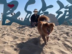 -库伦旗银沙湾旅游景区