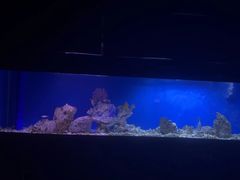 -避尘 Bsense·SPA(新会展总店)