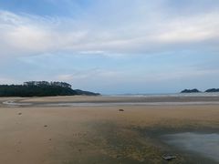 -老伙记海鲜码头(北滘店)