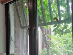 -茶肆(仙林店)