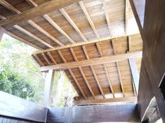 -福田红树林生态公园