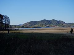 -四明山国家森林公园