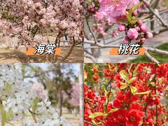-天津水上公园