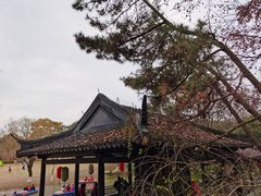 -上海方塔园