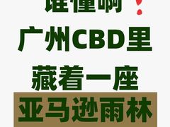 -正佳雨林生态植物园