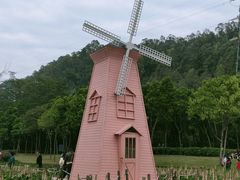 -顺峰山公园