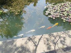 -承德避暑山庄景区