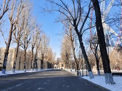 -哈尔滨文化公园