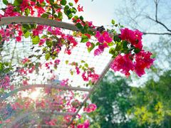 -深圳国际园林花卉博览园