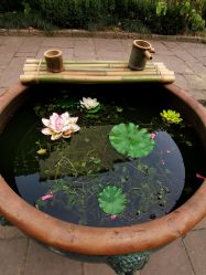 -红馆·发喆院