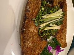 -香巴拉云南餐厅(华莱坞店)