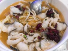 非主流酸汤鱼-Aqua Oasis 水天堂(常熟永旺店)