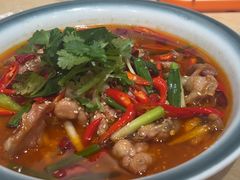 -杨氏青龙虾·羊蝎子(珠江路店)