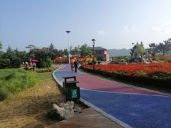 -羊亭河湿地公园