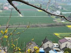 -孤山景区-孤山寺