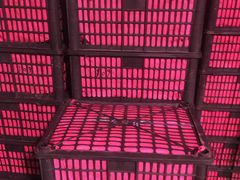 -菜园坝水果市场