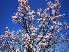 -云峰山自然风景区