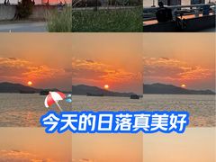 -华侨公园