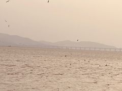 -深圳湾公园(南山区)
