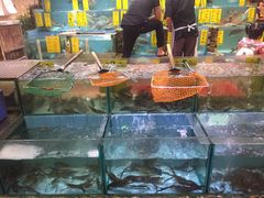 -有腥气私房菜·寻味顺德
