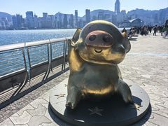 -星光大道