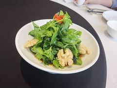 醋汁田七苗-逸道(益丰·外滩源店)