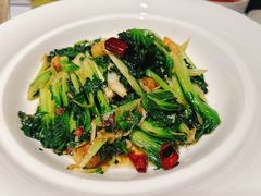 -阿五黄河大鲤鱼(纬三路店)