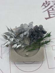 -中法母婴月子中心(南湖创始店)