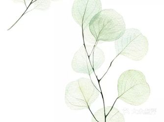 好想学画画,记录美好的春天!
