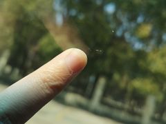 -鲨鱼皮汽车凹陷玻璃修复(静安店)
