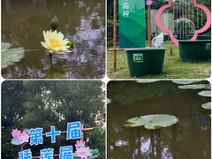 -广州莲花山旅游区