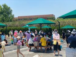 -季高兔窝窝亲子园(上海薰衣草公园店)