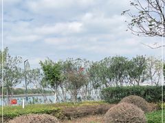 -五缘湾湿地公园