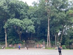 -峨眉山报国寺