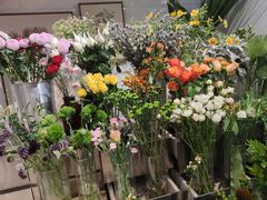 -植物学家的女儿(北马道巷店)