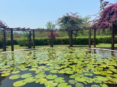 -中国科学院西双版纳热带植物园