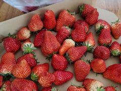 -西郊国际农产品交易中心