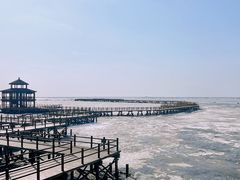 -红海滩国家风景廊道