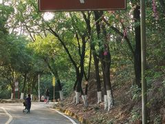 -大雁山风景区