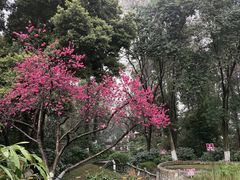 -成都市活水公园