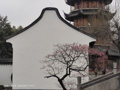 -红梅公园
