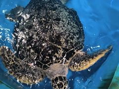 -泉城欧乐堡海洋极地世界