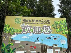 -福田红树林生态公园