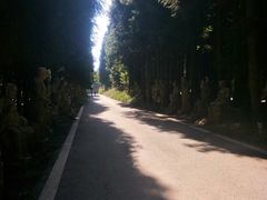 -武陵山森林公园